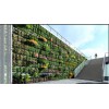 重庆绿色植物墙