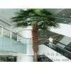 庭院假棕榈树|专业的仿真棕榈树提供商，当属广州市中帝仿真景观工程
