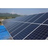 九洲八珍_声誉好的福建太阳能发电公司，福州太阳能光伏发电
