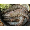 厂家直销海鲜鲜活虾，哪里有卖——优惠的海鲜鲜活虾