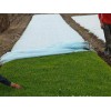 绿化防寒无纺布厂家 [供应]东营新式的草坪绿化无纺布