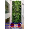 怎么找智能绿植墙代理-仿真绿植墙工程厂家