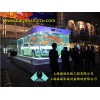 上海市热卖的大型亚克力鱼缸供应|大型鱼缸尺寸