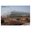 潍坊蔬菜温室大棚建设专业建设，苦瓜育苗温室建造