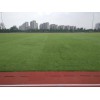 天然草坪足球场翻新|提供体系完善的天然草坪足球场施工