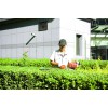 福建优质园林养护公司——翔安草坪绿化养护