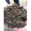 大连土壤改良草炭 为您推荐优质泥炭土