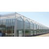 承建PC板温室大棚 潍坊提供可信赖的玻璃智能温室建设