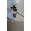 空心铆钉模具加工
