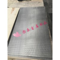 楔形丝筛板 条缝筛板 三角丝筛板 不锈钢可定制筛板