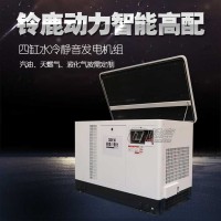 静音箱式30KW25KW20KW汽油发电