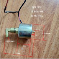 电磁泵柱塞泵SP-13A开模定做