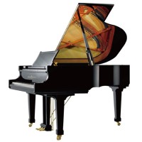 德清钢琴生产厂家,德清洛舍钢琴价格,上海钢琴制造厂，三角钢琴