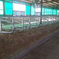 奶牛通用的牛卧床 成品及配件