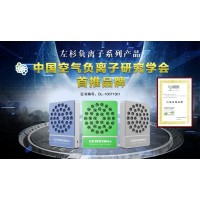 左杉负离子发生器空气净化器家用净化甲醛